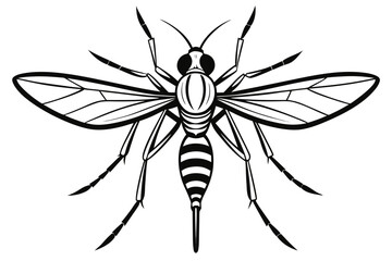Mosquito Line Drawing Vector – Detailed Insect Outline Illustration for Science and Education