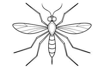 Mosquito Line Drawing Vector &ndash; Detailed Insect Outline Illustration for Science and Education