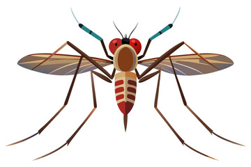 Mosquito Line Drawing Vector – Detailed Insect Outline Illustration for Science and Education