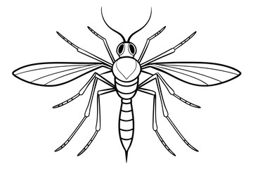 Mosquito Line Drawing Vector &ndash; Detailed Insect Outline Illustration for Science and Education