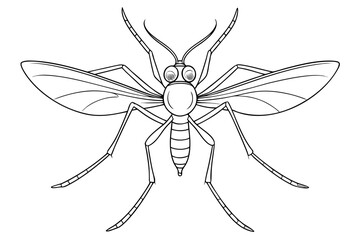 Mosquito Line Drawing Vector &ndash; Detailed Insect Outline Illustration for Science and Education