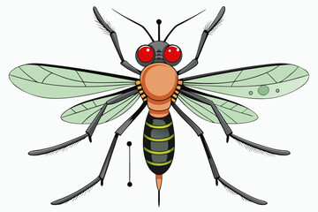 Mosquito Line Drawing Vector – Detailed Insect Outline Illustration for Science and Education