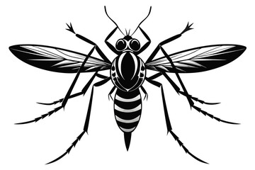 Mosquito Line Drawing Vector – Detailed Insect Outline Illustration for Science and Education