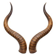  Pair of spiral antelope horns isolated on transparent 