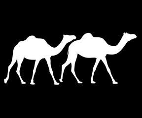 White camels sillhouette vector illustration,camels on black and white image,camel sillhouette black and white vector 