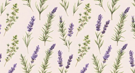 Seamless pattern with lavender rosemary and thyme
