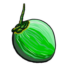 green coconut isolated on white background