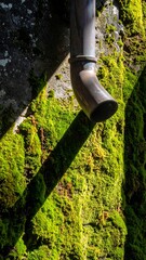 A close-up shot of a copper drainpipe against a moss-covered wall, creating a stark contrast with light and shadow