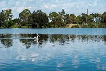 Harrington Park is a suburb of the Macarthur Region of Sydney in the state of New South Wales, Australia in Camden Council.