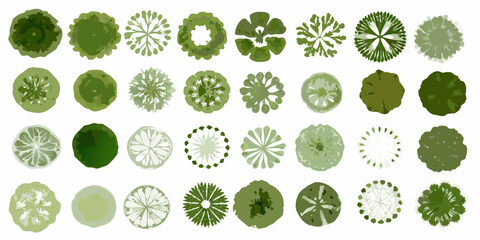 An assortment of green trees viewed from above displaying diverse canopy shapes