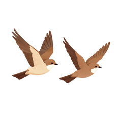 Obraz premium Two flying brown birds with wings spread wide