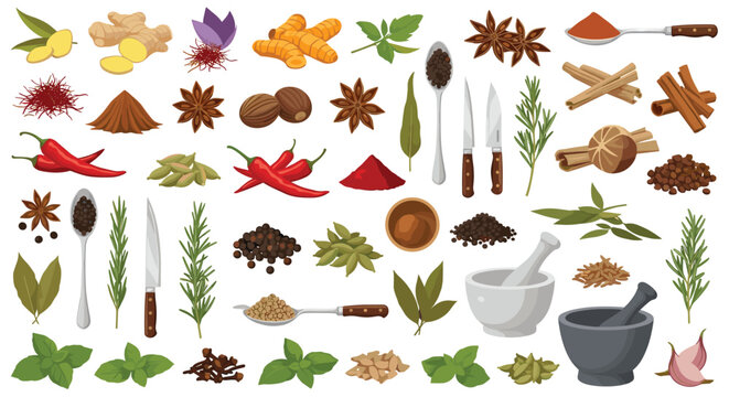 Colorful collage of herbs and spices including garlic ginger turmeric chili peppers star anise cinnamon sticks rosemary thyme basil sage peppercorns.