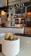 Mini cactus plant used as a simple desk decoration, adding a natural touch, minimalist style, and fresh green accent to indoor workspace.