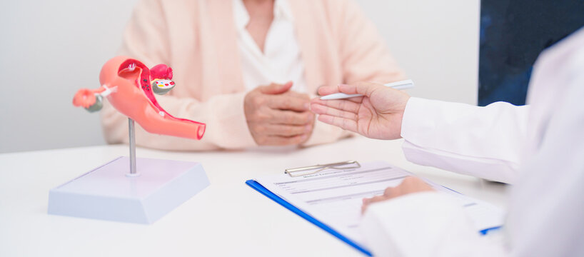 Elderly Woman patient consulting doctor with anatomy Uterus and Ovaries. Ovarian and Cervical cancer, Cervix disorder, Endometriosis, Hysterectomy, Uterine fibroids, Reproductive system and Pregnancy