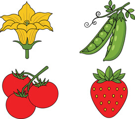 Botanical produce icons, squash blossom, pea pod, tomato vine, strawberry fruit, plant parts, flat vector illustration