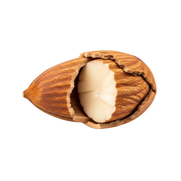 Close-up of a cracked open walnut shell revealing its creamy white interior on a transparent background.