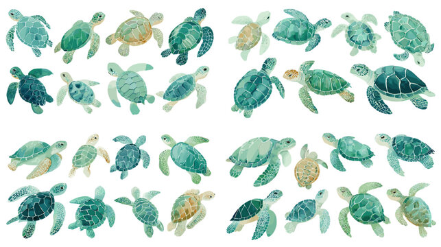 Watercolor sea turtle illustration collection with soft green and blue tones perfect for ocean themes educational projects eco design and gentle nature inspired artwork.