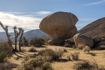 Large boulder and Joshua trees in a desert landscape at Joshua Tree National Park, California © Natalie