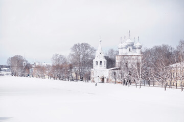 Naklejka premium Winter forest landscape. Tall trees under snow cover. January frosty day in the park.