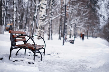 Naklejka premium Winter forest landscape. Tall trees under snow cover. January frosty day in the park.