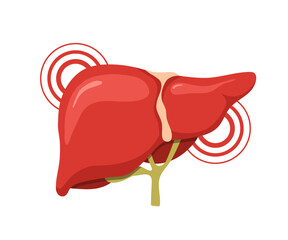 Liver pain. Liver disease treatment and anatomy. Medical illustration for cancer or cirrhosis. Vector design.