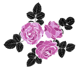 Pink Roses Botanical Branch Composition