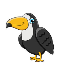 toucan bird cartoon