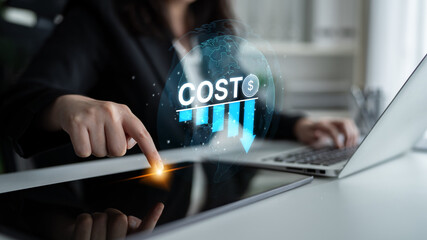 Cost reduction and cost saving through digital transformation, business cost optimization, operational cost reduction, financial saving, and resource efficiency strategies for business success. Spline
