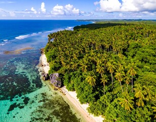 Aerial view of a tropical coastline with white sand beach