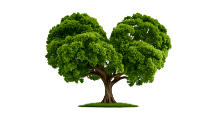 A clean vector icon of a heart surrounding a stylized tree, isolated on a Transparent background