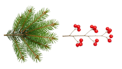 Green fir branch and red berries twig on a transparent background, PNG image, PNG file