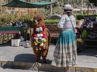 Obraz premium The brown llama is beautifully dressed up. A cute animal in sunglasses and with bright multicolored pompoms on his chest. A woman in national clothes stands nearby. Peru.