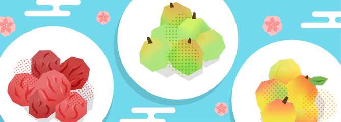 お皿に乗った梅干しと青梅と完熟梅のイラスト