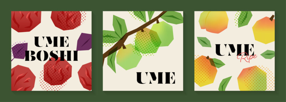 切り絵風の梅と梅干しのイラストセット