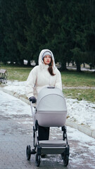 woman in wheelchair with her baby