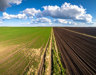 Aerial perspective of cultivated farmland and cloud-filled sky