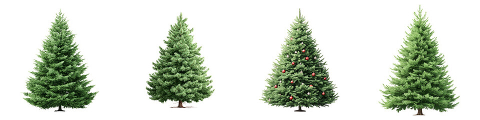 Fototapeta premium Christmas Tree Assortment: Isolated Evergreen Spruce Collection