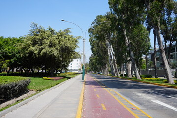 Bike lane along tree lined urban street