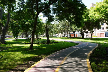 Peaceful urban park with tree covered paths