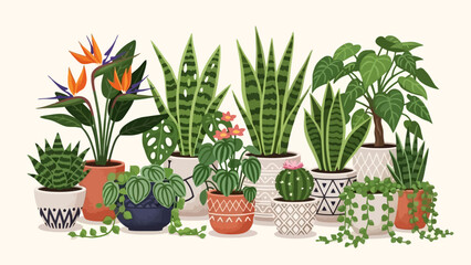 Vibrant Assortment of Potted Houseplants and Exotic Tropical Flowers