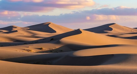 Vast golden sand dunes under a soft pastel sky, a serene desert landscape bathed in warm sunlight