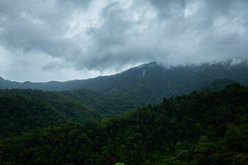 Dark and gloomy forest scenery on mountain layers landscape in Jantho, Aceh, Indonesia, with thick fog that limits visibility