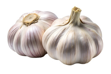Obraz premium Fresh garlic bulb isolated on a white background