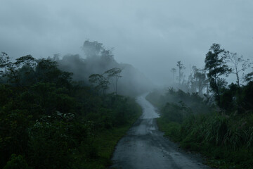 Dark and gloomy forest scenery on mountain layers landscape in Jantho, Aceh, Indonesia, with thick fog that limits visibility