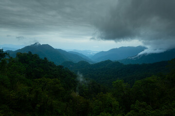 Dark and gloomy forest scenery on mountain layers landscape in Jantho, Aceh, Indonesia, with thick fog that limits visibility
