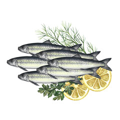 Sardines with herbs and lemons. A hand-drawn watercolor illustration. A color image of a fish dish. Separate from the background. For menus, recipe books, packages, labels, invitations.