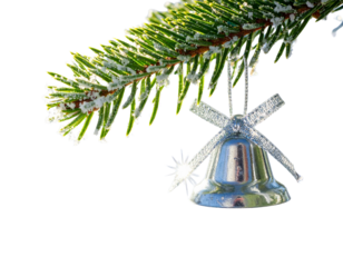 Pine Branch and Silver Bell Duo, isolated on transparent background 