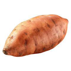 Whole sweet potato tuber with orange skin isolated on transparent background.
