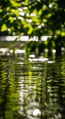Fototapeta premium Sunlit Green Leaves Reflected on Rippling Water