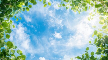 Clear blue sky framed by green leaves in a bright daylight scene